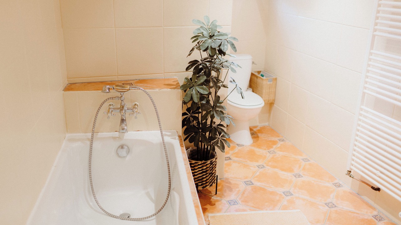Photo of Bathroom in Tresserre
