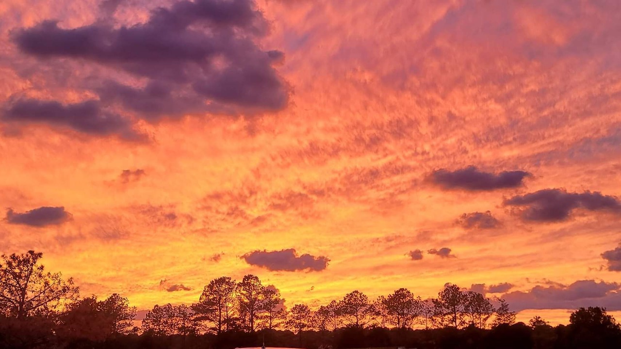 Photo of Others in Diggs