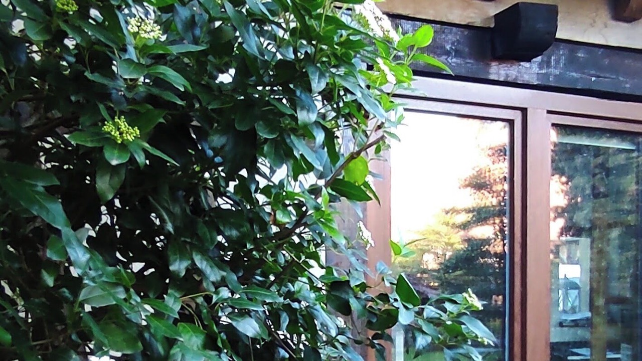 Photo of Outdoor in Langensoultzbach