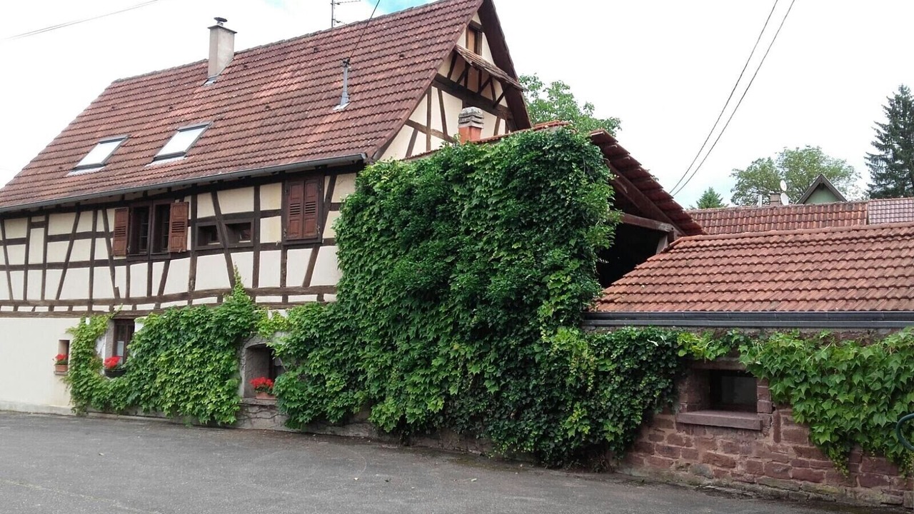 Photo of Outdoor in Langensoultzbach