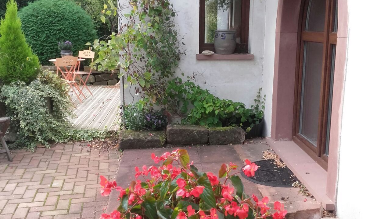 Photo of Outdoor in Langensoultzbach