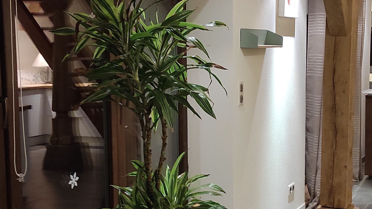 Photo of Others in Langensoultzbach