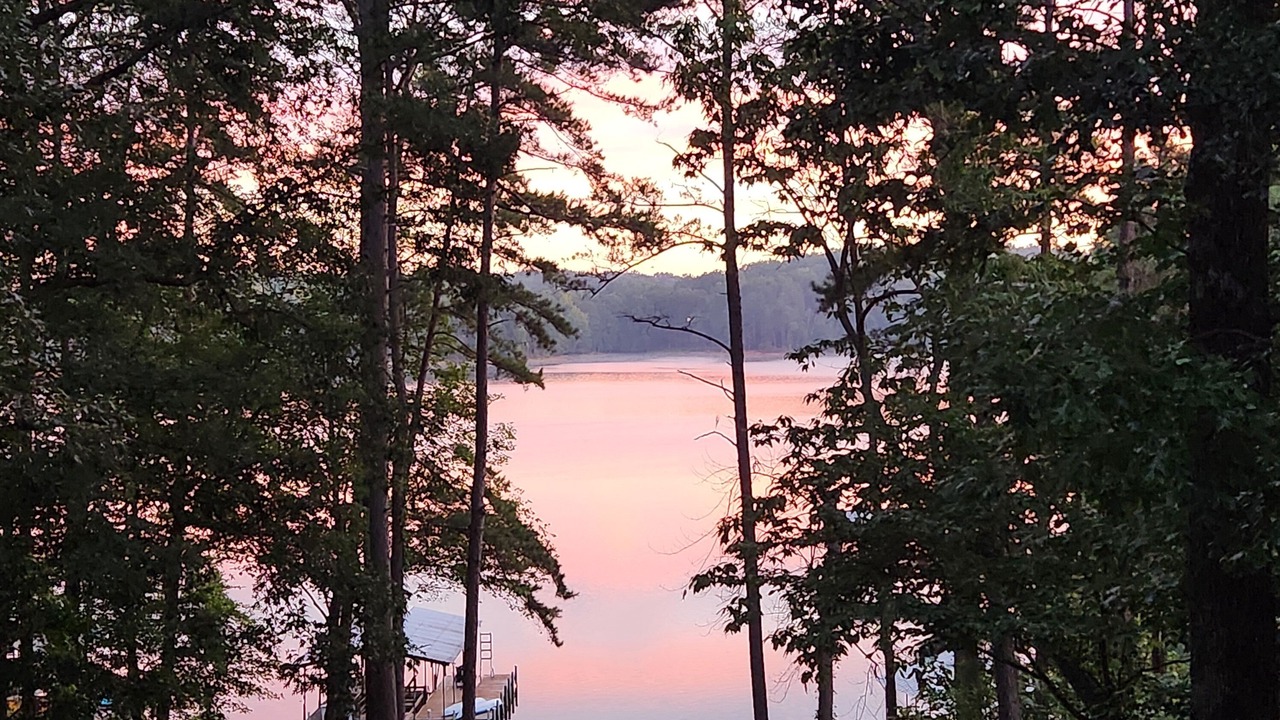 Photo of Others in Martin