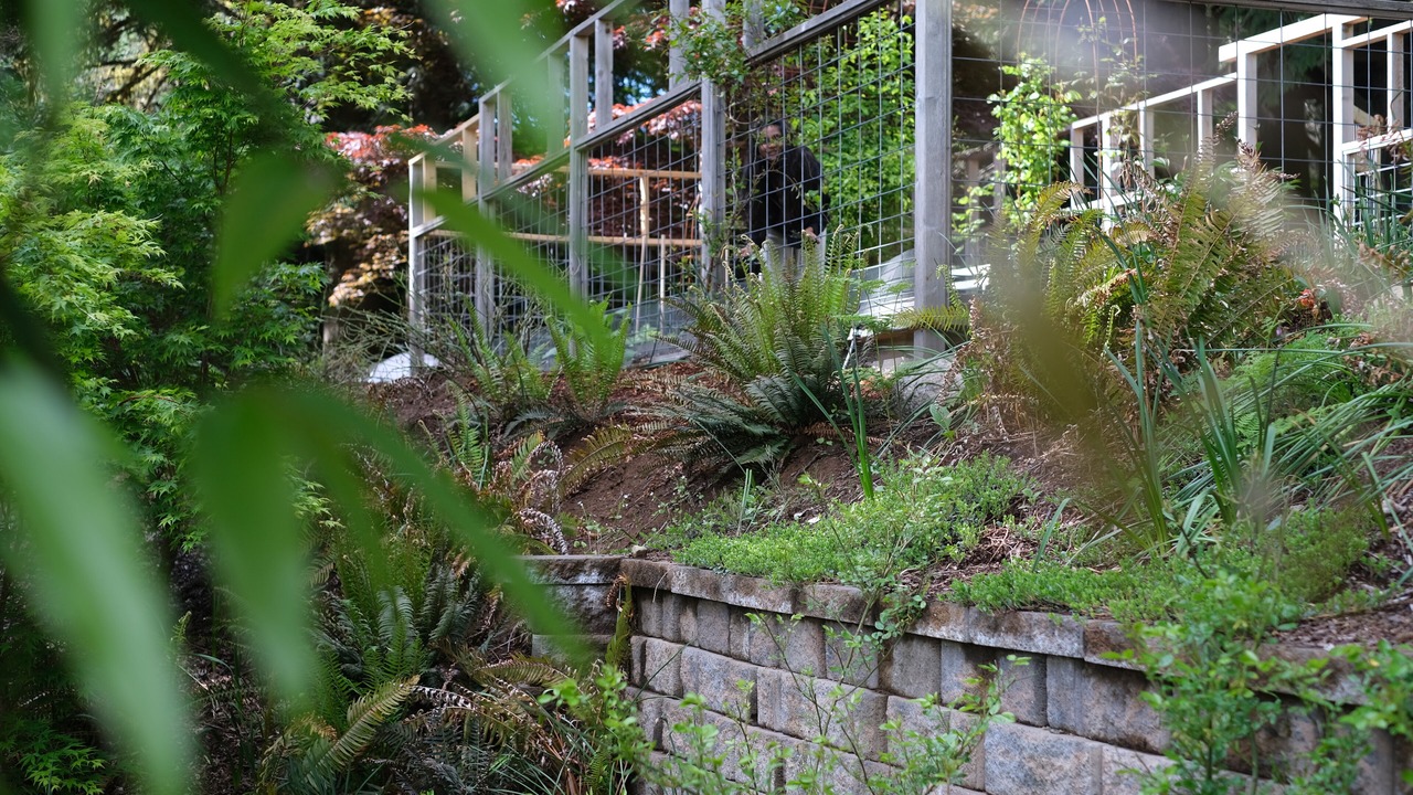 Photo of Outdoor in Welches