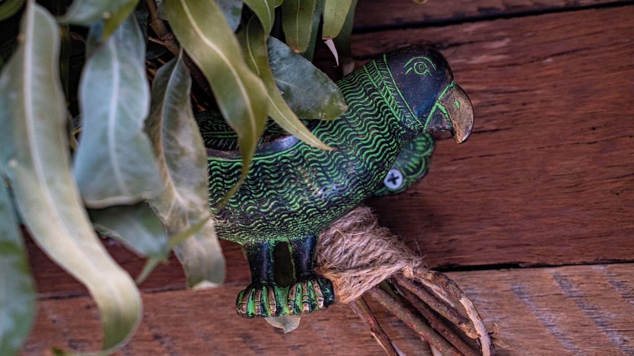 Photo of Others in Bar Point