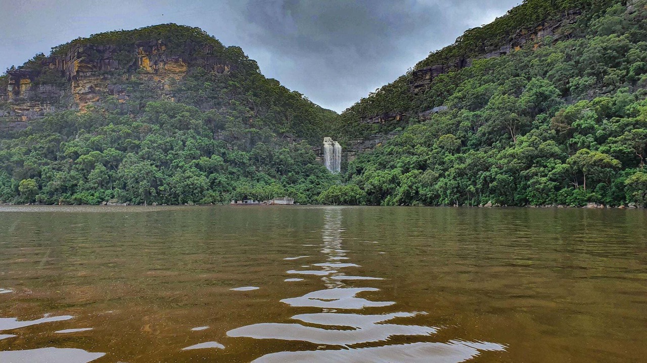 Photo of Others in Bar Point