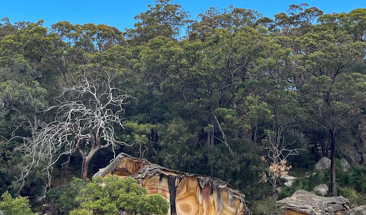 Photo of Others in Bar Point