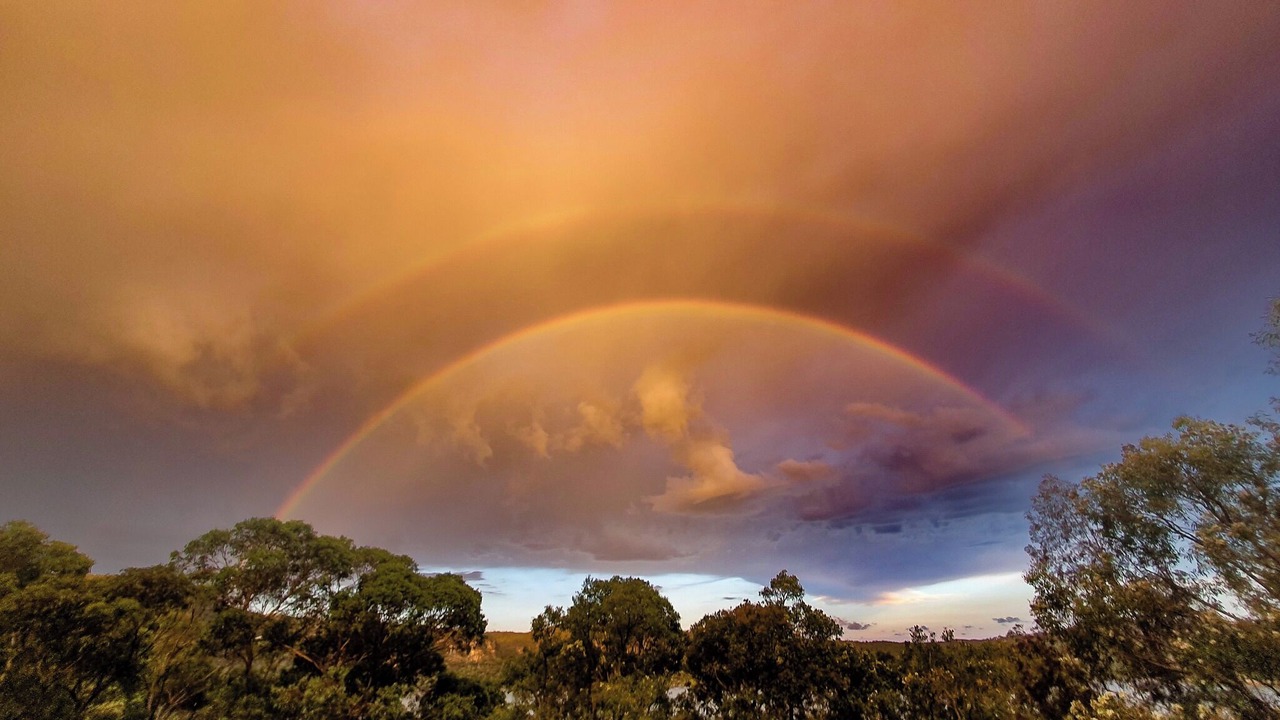 Photo of Others in Bar Point