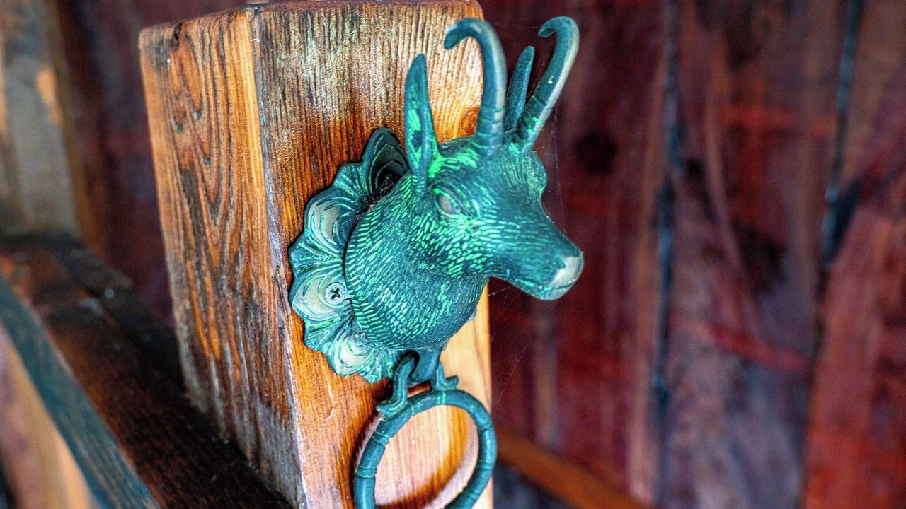 Photo of Others in Bar Point