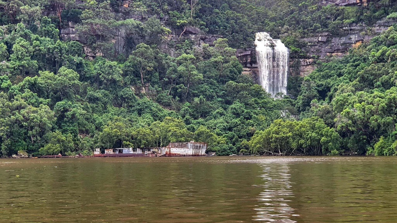 Photo of Others in Bar Point