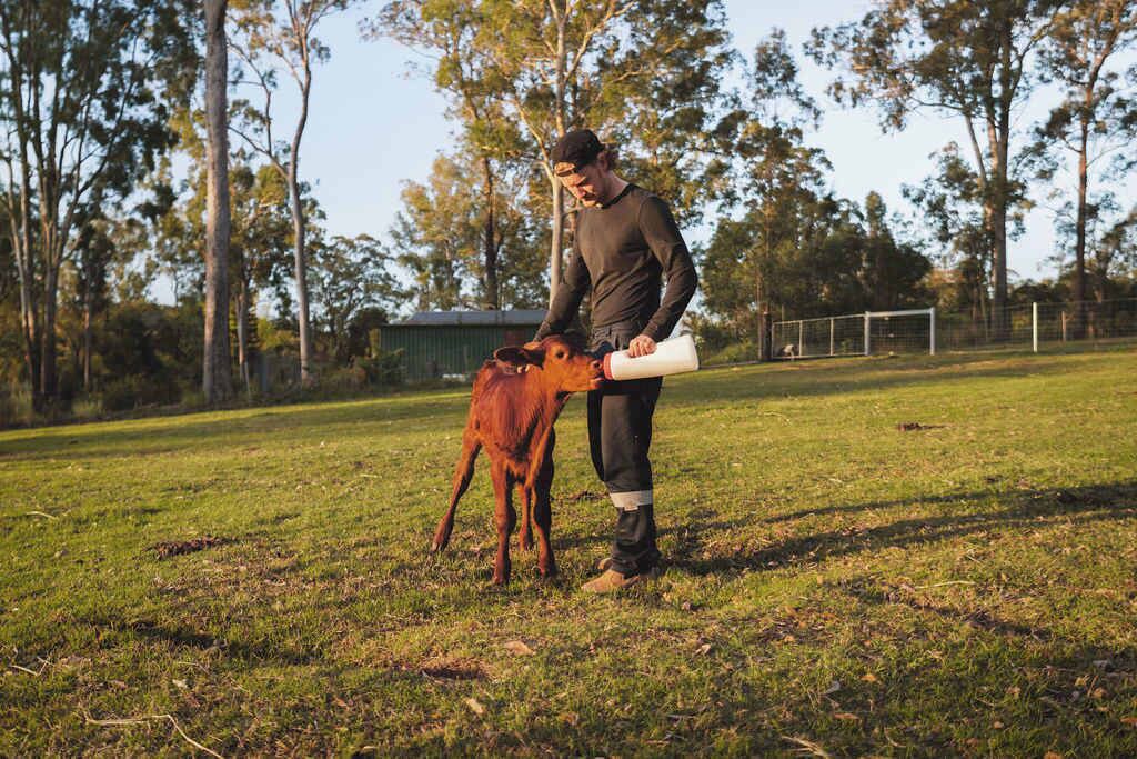 Photo of Others in Tamborine