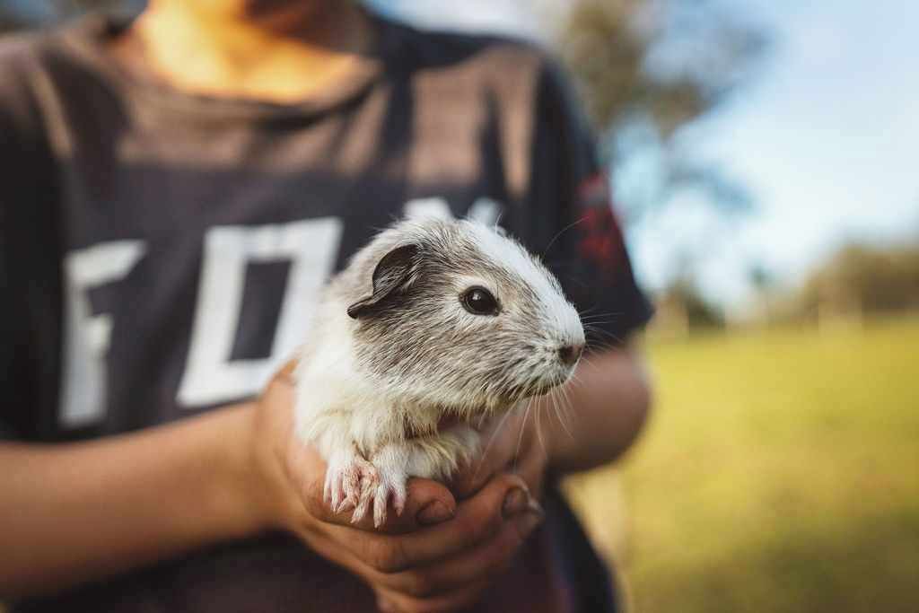 Photo of Others in Tamborine
