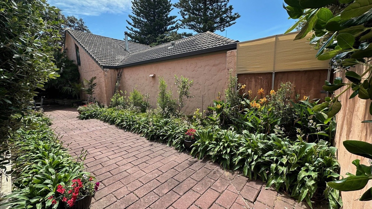 Photo of Outdoor in Orewa