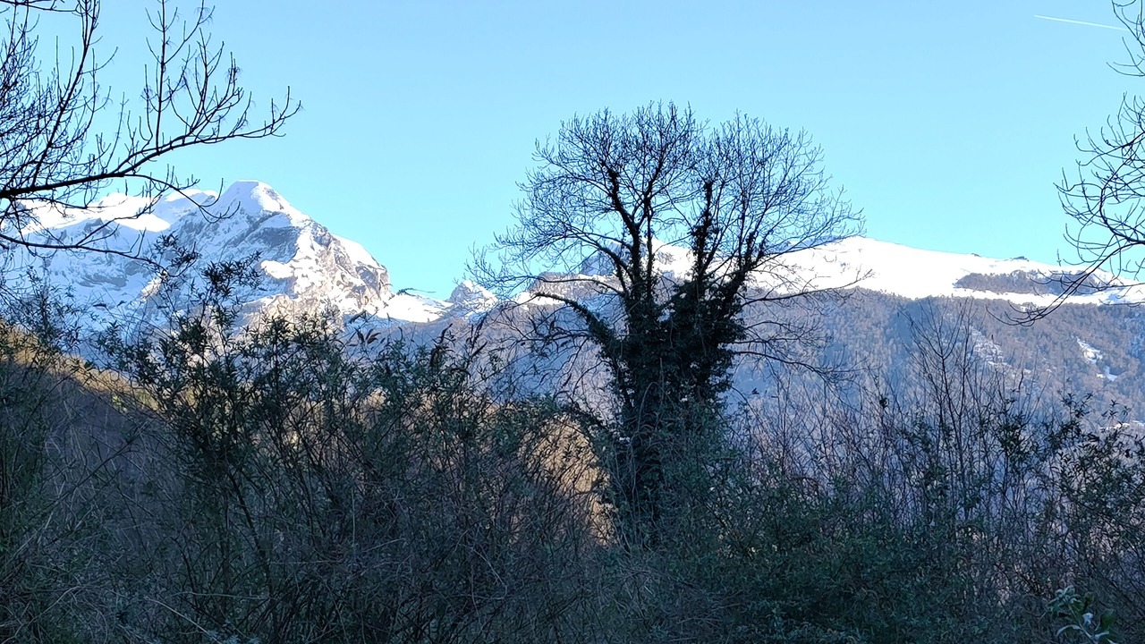 Photo of Others in Gere-Belesten