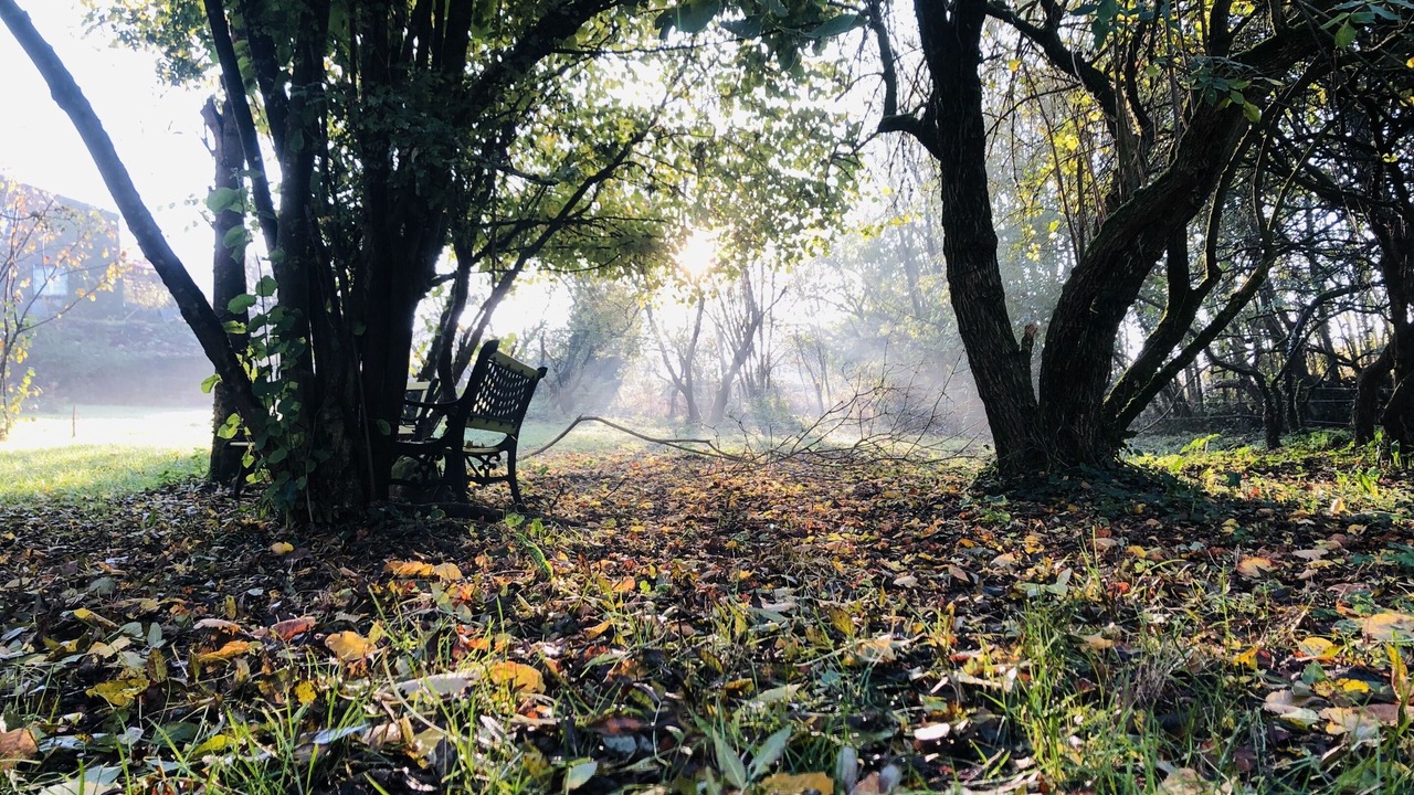 Photo of Outdoor in La Boissiere-de-Montaigu