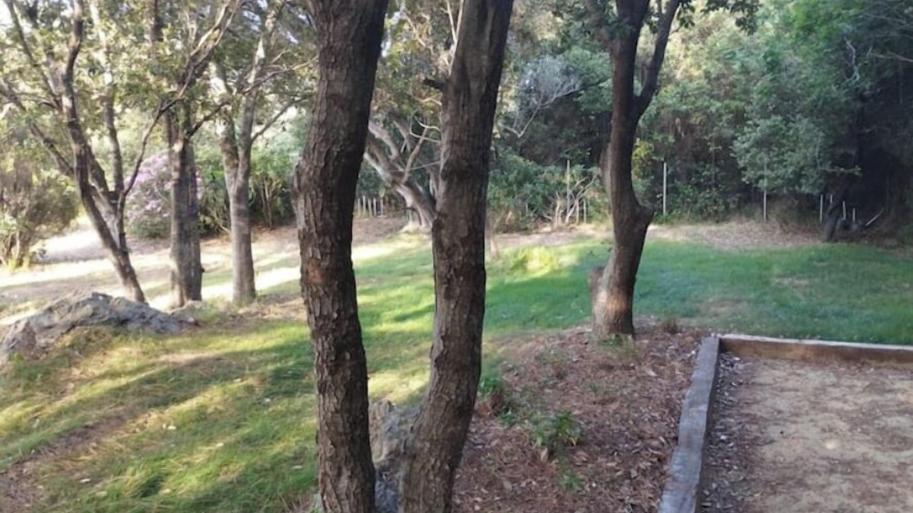 Photo of Outdoor in Rogliano