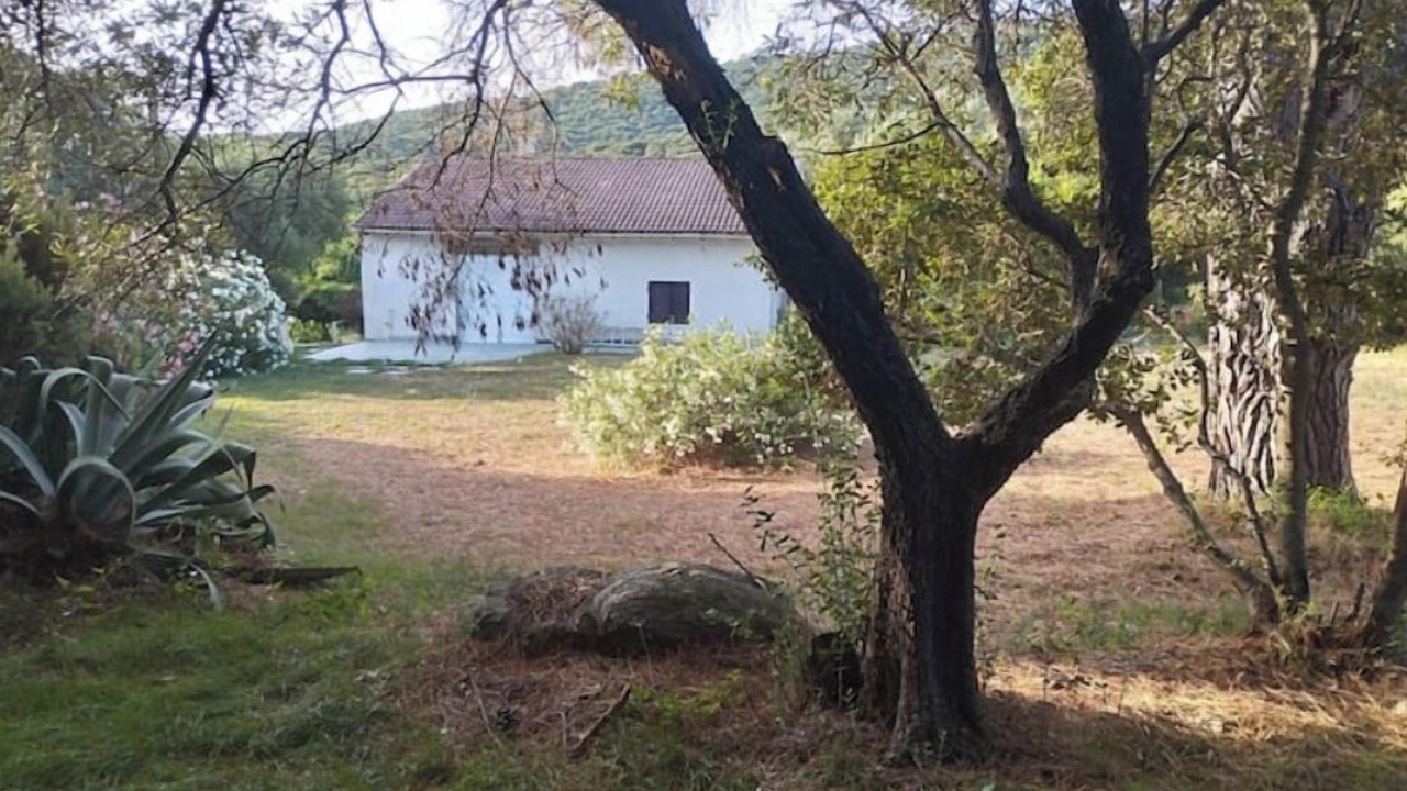 Photo of Outdoor in Rogliano