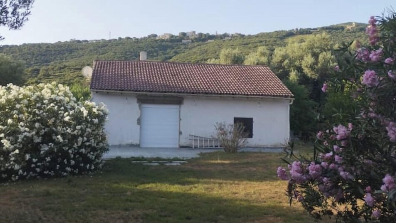 Photo of Outdoor in Rogliano