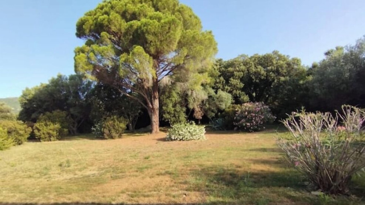 Photo of Others in Rogliano