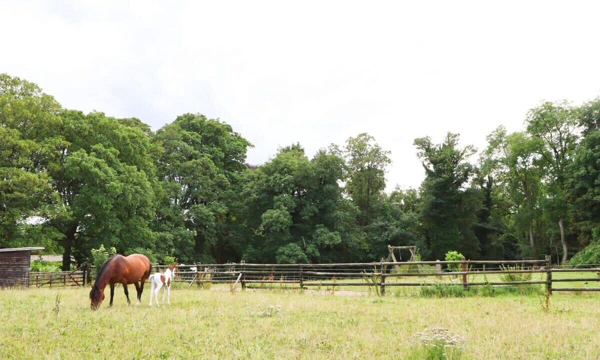 Photo of Others in Olveston