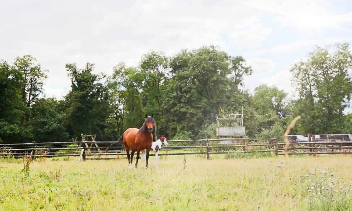 Photo of Others in Olveston