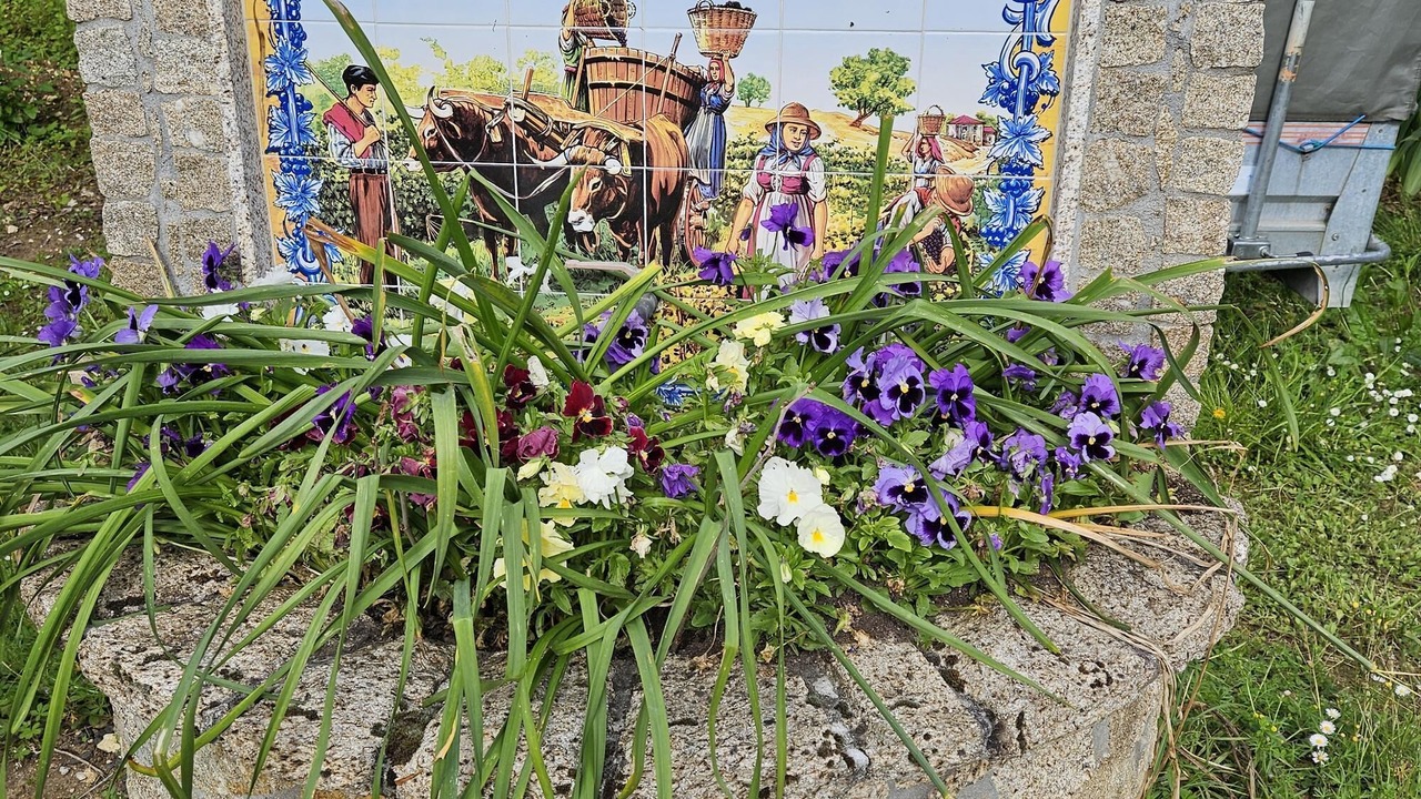 Photo of Others in Vergt