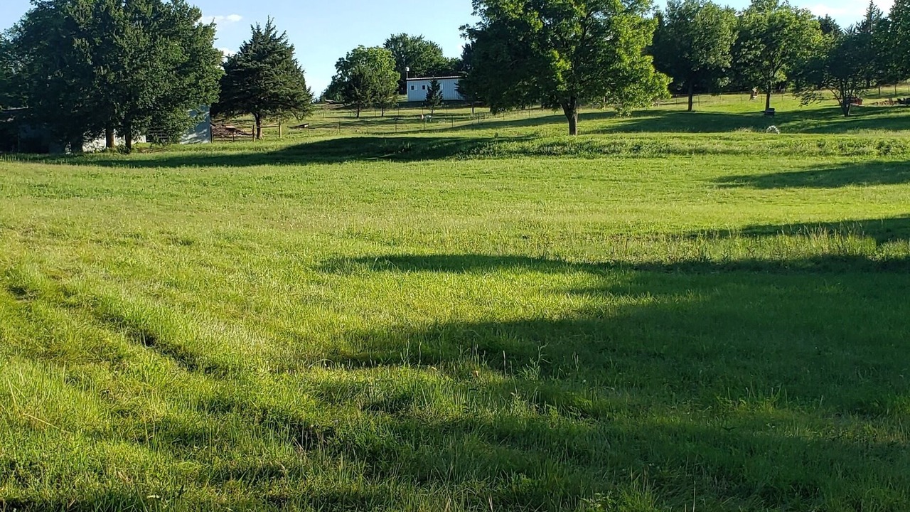 Photo of Others in Sherman