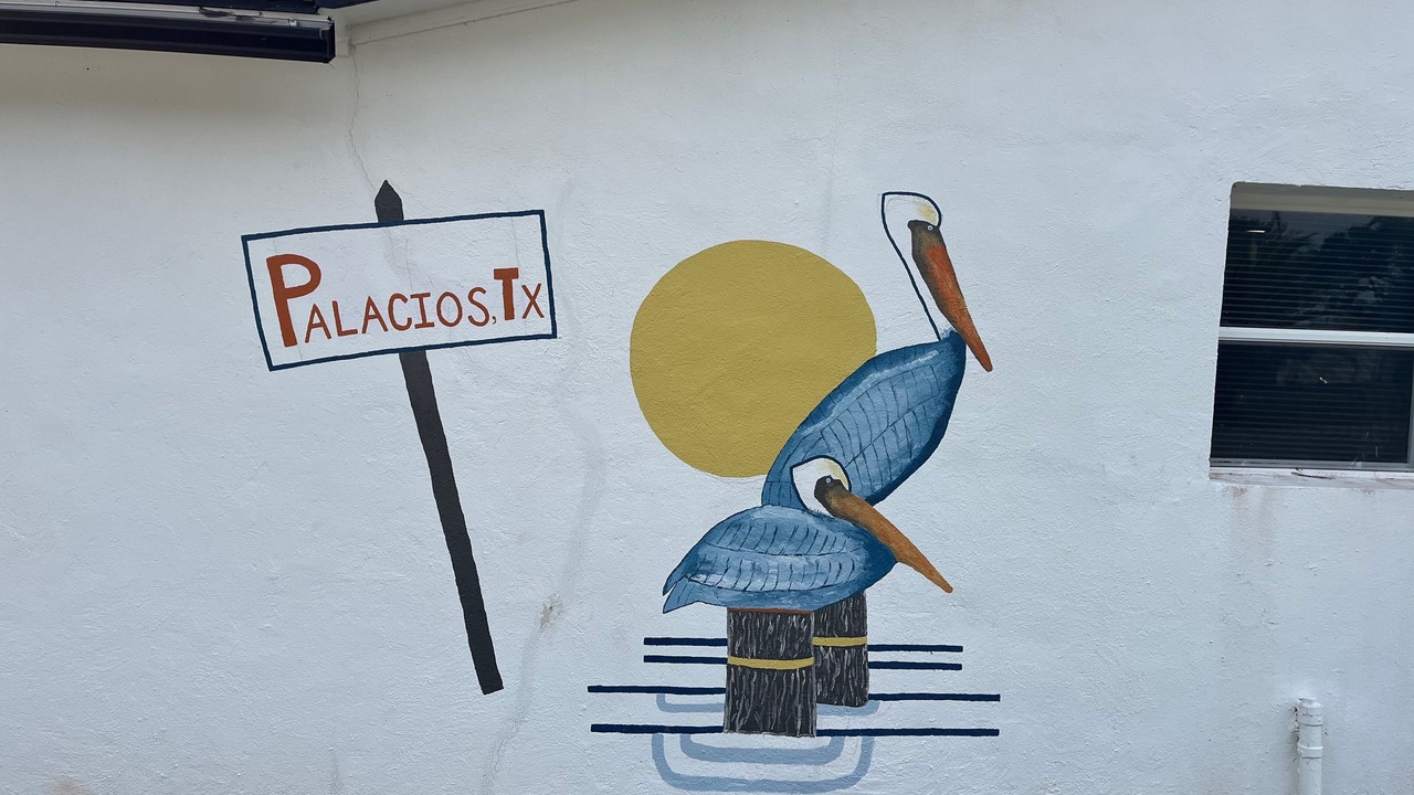 Photo of Outdoor in Palacios