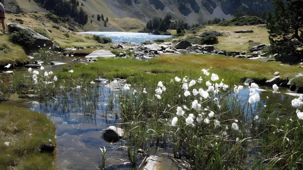 Photo of Others in Saint-Lary-Soulan