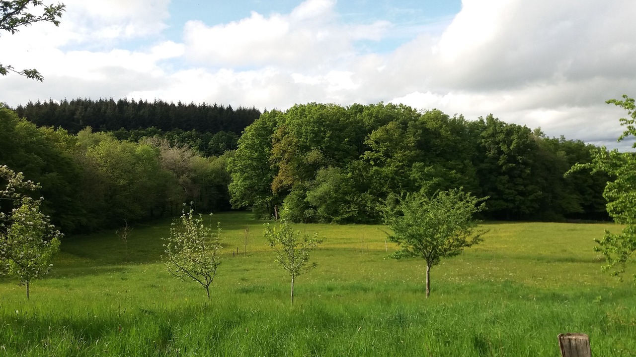 Photo of Others in Ouroux