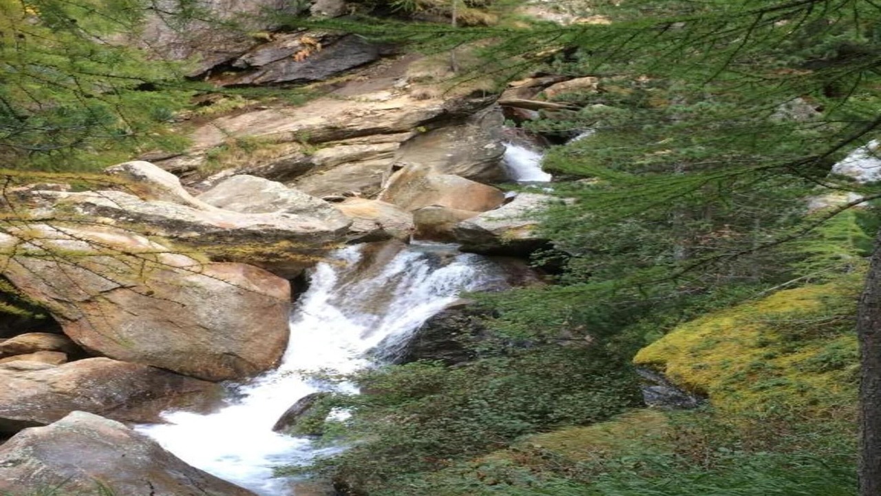Photo of Others in Saas Grund
