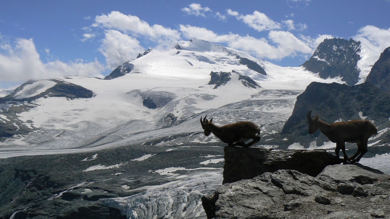 Photo of Others in Saas Grund
