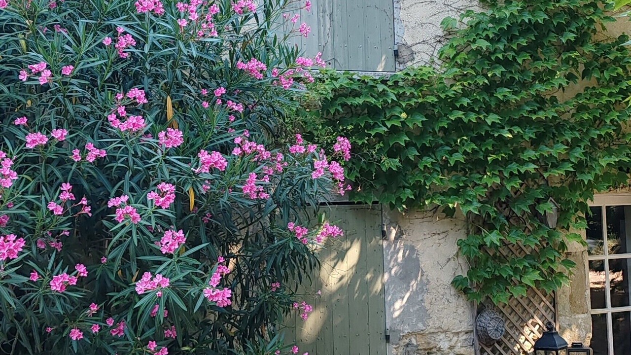 Photo of Outdoor in Camaret-sur-Aigues