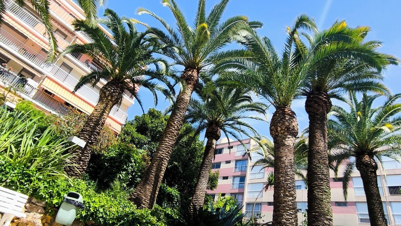 Photo of Outdoor in Vallauris