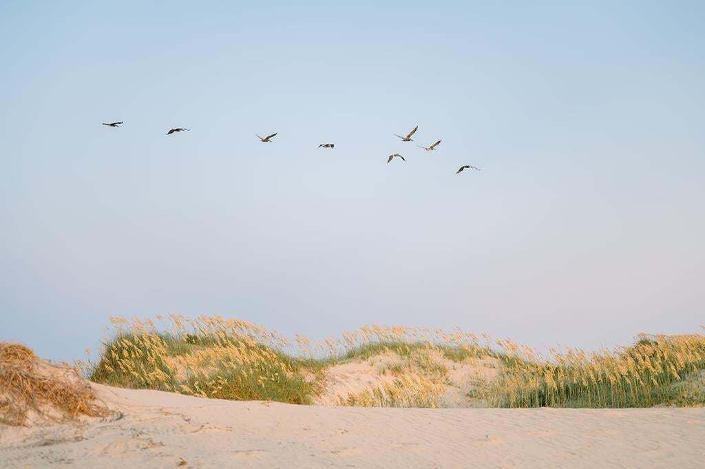 Photo of Others in Kill Devil Hills