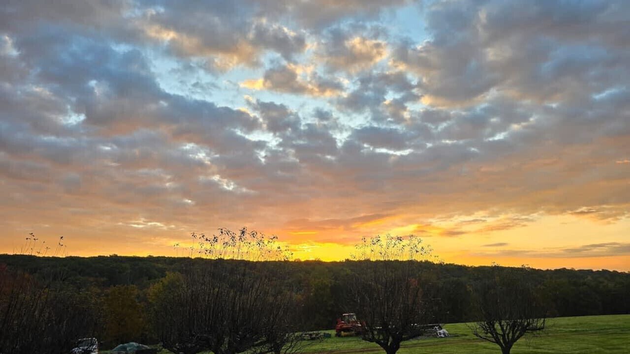 Photo of Others in Northfield