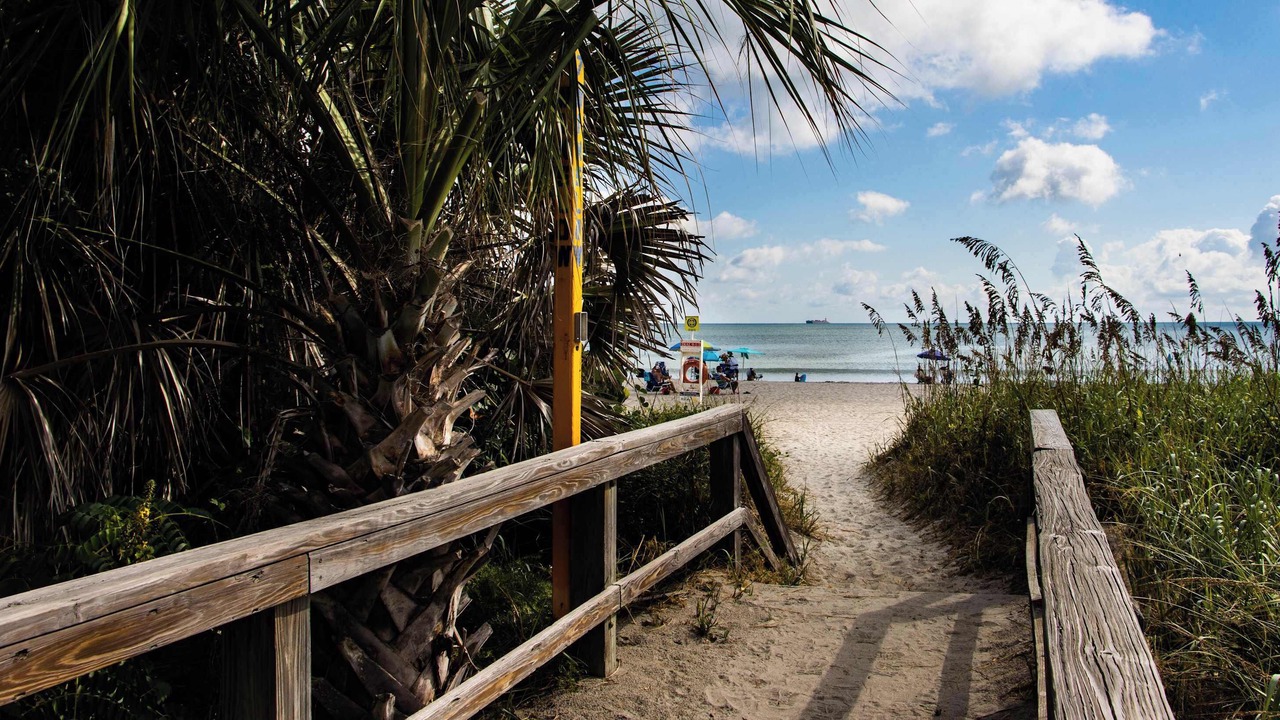 Photo of Others in Orlando Beach