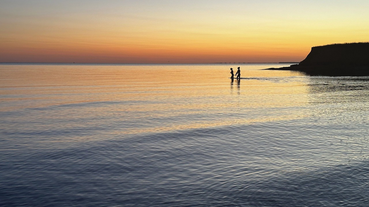 Photo of Others in DeSable