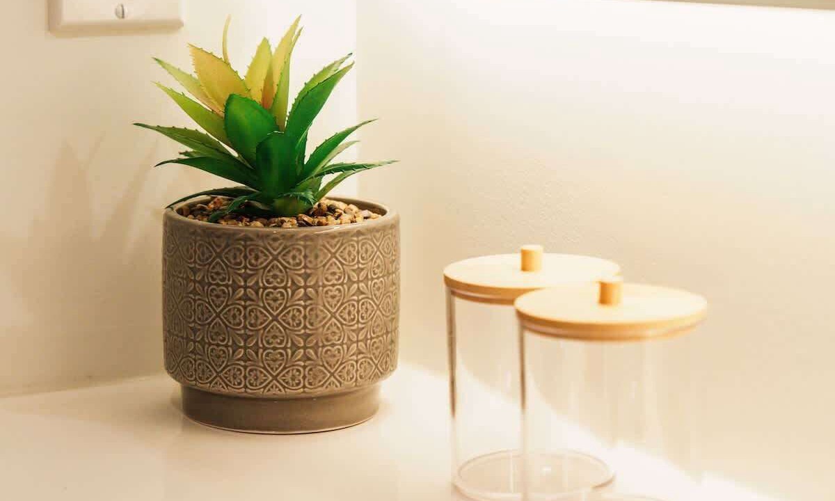 Photo of Others in Kensington