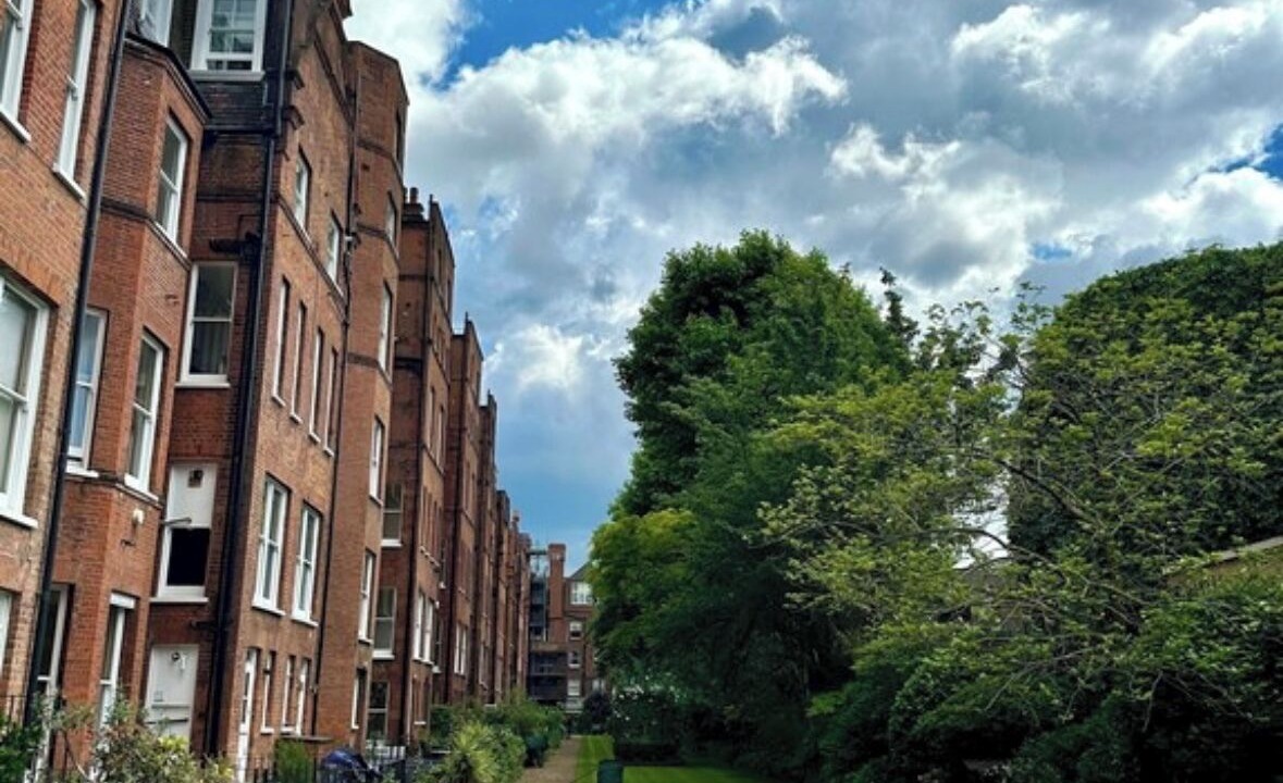 Photo of Others in Belgravia