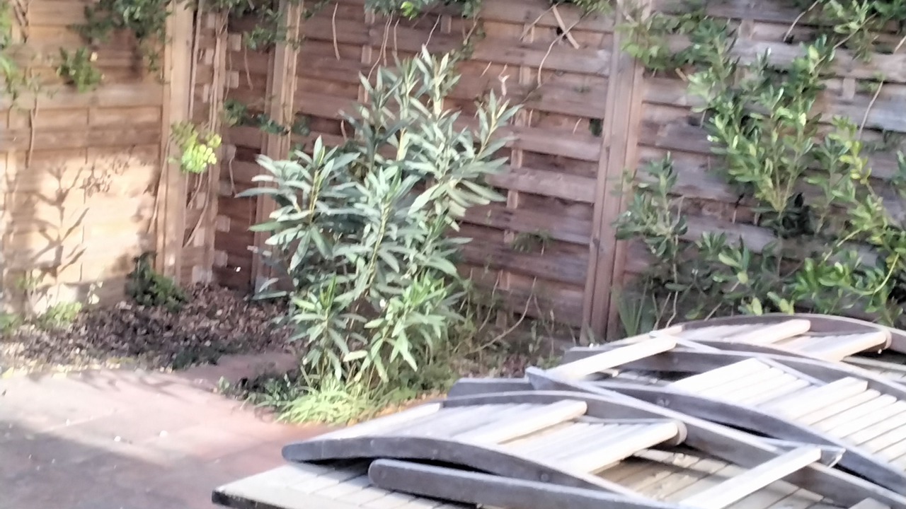 Photo of Outdoor in Porquerolles