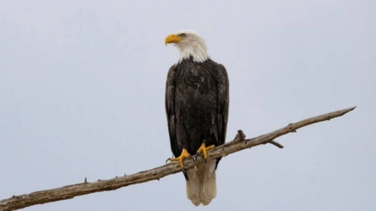 Photo of Others in St. Joseph