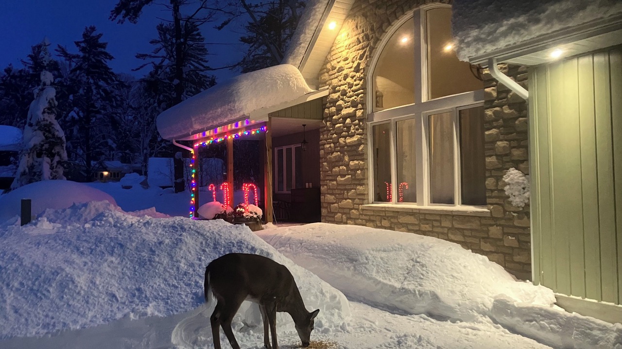 Photo of Others in Gravenhurst