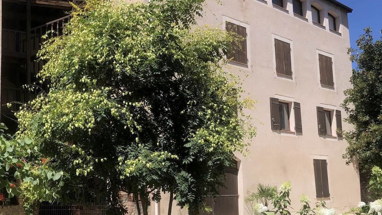 Photo of Others in Cahors Old Town