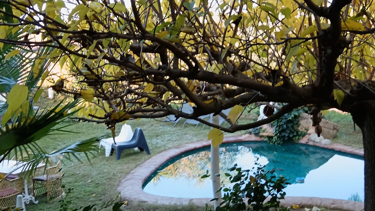 Photo of Outdoor in Tordera