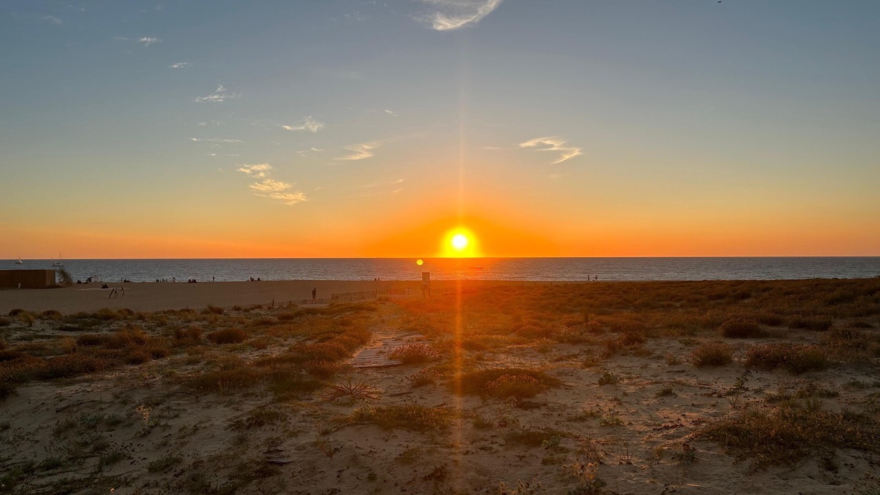 Photo of Others in Seyresse