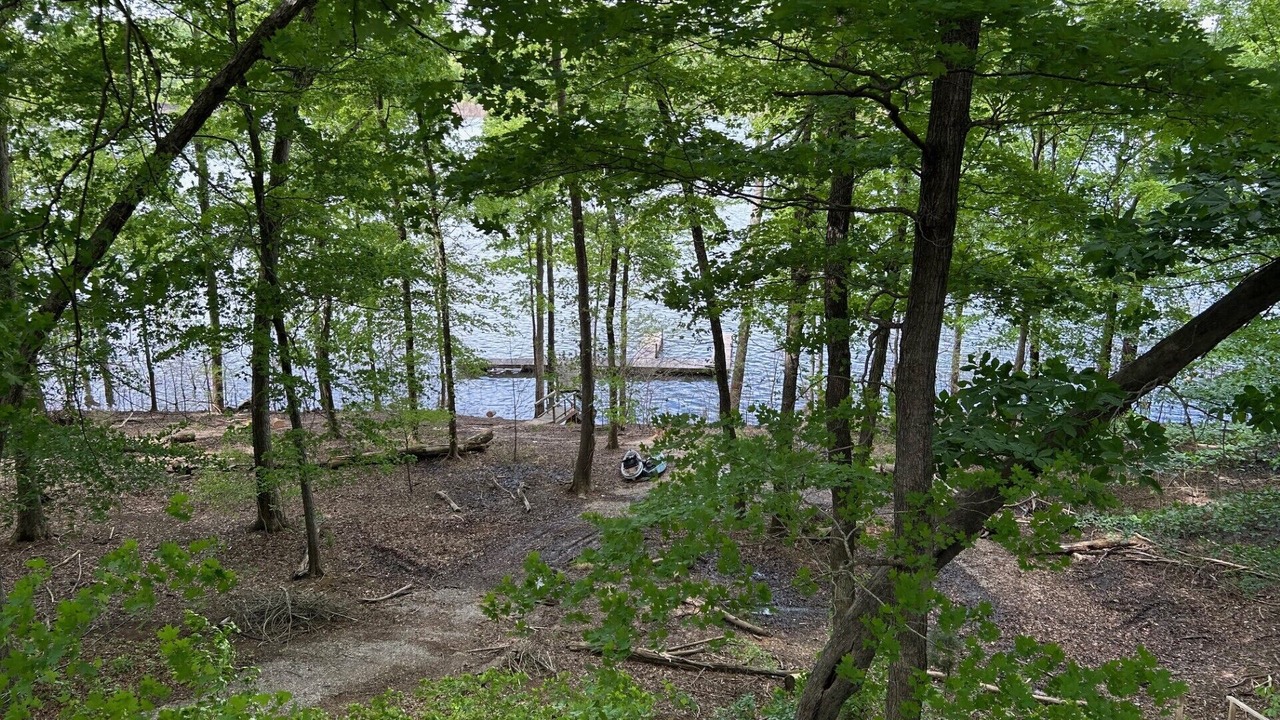 Photo of Others in Cub Run