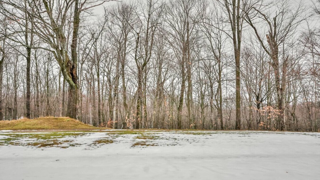 Photo of Others in Oro-Medonte