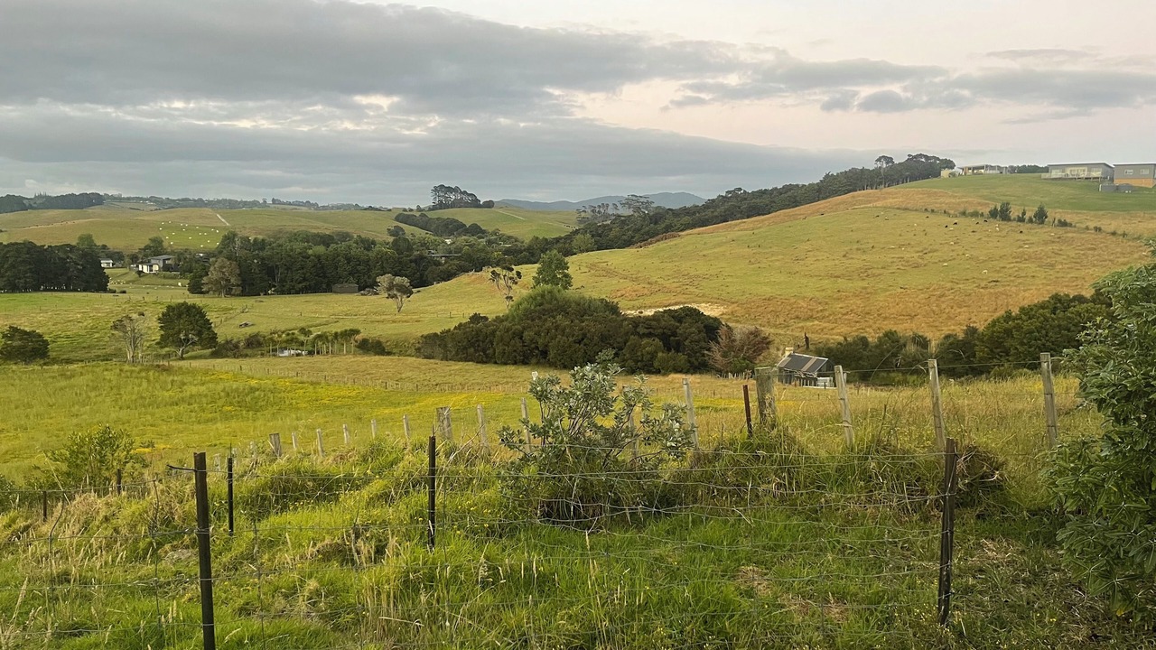 Photo of Others in Mangawhai