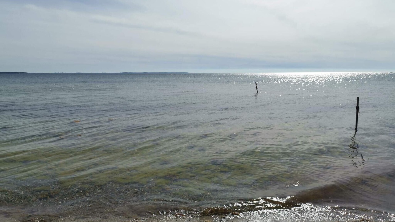 Photo of Others in Vordingborg